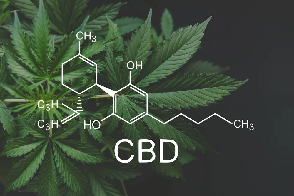 cbd